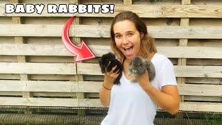 BABY RABBITS SAVED FROM FUR FARM! ARE THEY OK?!