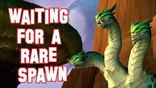 World of Warcraft - Waiting for a Rare Spawn