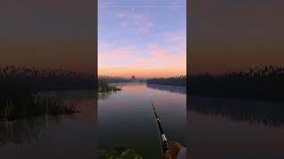 Beautiful sunrise, I cast the bait as far as I can,  Fishing Planet pc