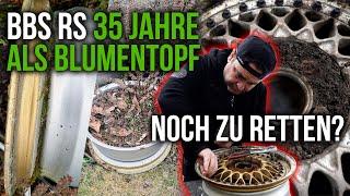 LEVELLA | BBS RS - 35 Jahre als Blumentopf genutzt! - Können wir sie retten?