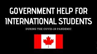 Government Help For International Students