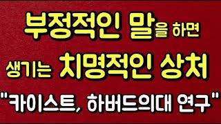 부정적인 말을 하면 생기는 치명적인 상처 + 말의 힘(카이스트, 하버드의대 연구)