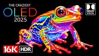 The Craziest 16K Video ULTRA HD  - 16K HDR Dolby Vision (4K / 8K TV)