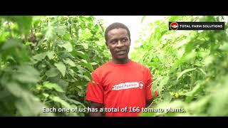 Total Farm Solutions for World Vision communities - Sustainable Greenhouse Farming in Manicaland