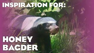 4 Real Honey Badger Habitats! (Planet Zoo: Asia Animal Pack Inspiration)