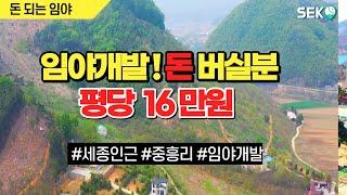 평당16만원 실화? 세종에서 5킬로 !  서울세종 IC인근  !   임야개발로 돈 버실분 !  초보는 클릭금지.   코끼리부동산  01022756213