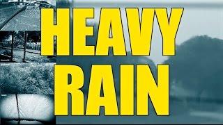 Heavy Pouring Rain and Thunder | 2 Hours | "Rain" "Rain Sounds" "Sleep Sounds"