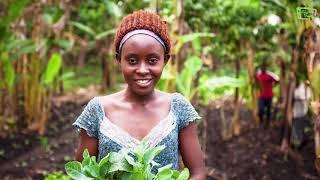 Sustainable Businesses: How iFarm is helping smallholder farmers in Kenya.