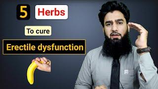 Best Sexologist In Delhi | 5 Herbs To Cure Erectile Dysfunction | Dr. Imran Khan