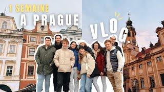 BIENVENUE À PRAGUE ! (vlog) - vacances, visites, bons plans