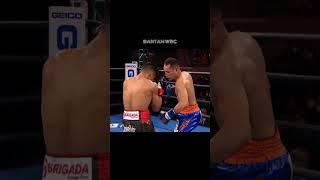 NONITO DONAIRE VS REYMART GABALLO| Kena perut, Gaballo Berlutut. #shortsfeed #shortsviral #boxing