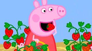 Peppa Pig ⭐ Çiçekler  Programının en iyi bölümleri | Çocuklar için Çizgi Filmler