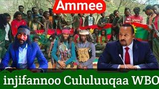 21/06/2024 injifannoo cululuuqaa Waraana Bilisummaa Oromo WBO Giddaa Ayyaanaa karoora impaayeratti