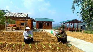 Mai and her sister-in-law planted a large vegetable garden to store for the coming winter