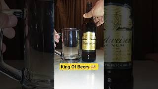 King Of Beers Budweiser Magnum #youtubeshorts #shortsfeed #budweiser #beer #asmr