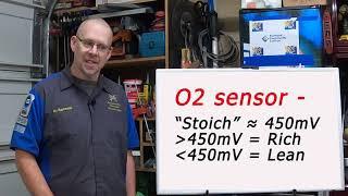 O2 Sensors