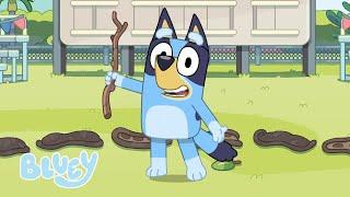 Come fare Festa come Bluey | Bluey Italiano Canale Ufficiale