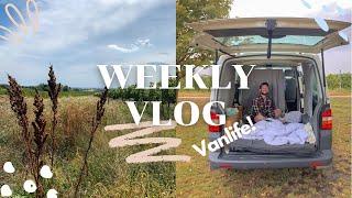 Vanlife in den Weinbergen  - Burgenland Vlog (Neusiedlersee)