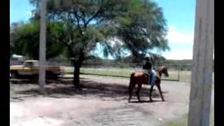 Victor M. Zesai - Sonny Jose Zesati en el caballo - 2011-07-25