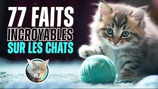 77 faits SURPRENANTS sur les CHATS !!! - Doc Seven