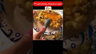 مغامرات فى المطبخ لناس مبتعرفش تطبخ ج33