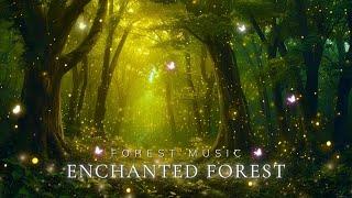 Enchanted Forest: Escape Stress, Find Peace and Deep Sleep with Magical Forest Music