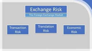 Foreign Exchange Risk