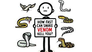 How Fast Can Snake Venom Kill You?