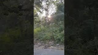 #shorts#ytshortsindia#husan#pahadon#ka#kya#kahanan#