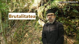 Brutalitatea - p. Teologos