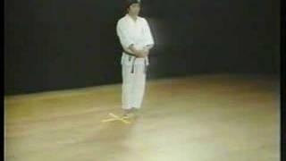 Bassai Dai - Shotokan Karate