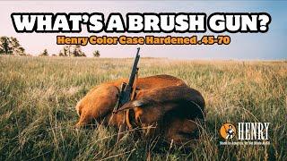 What's a Brush Gun? - Henry Color Case Hardened .45-70