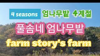 풀솜네 엄나무밭, 사계절 변화 모음
