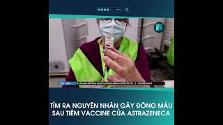 Đã tìm ra nguyên ngân gây đông máu sau tiêm vaccine AstraZeneca | VTC1