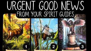 Some Urgent GOOD NEWS From Your Spirit Guides! ⎮pick a card reading 🃏⎮tarot card reading