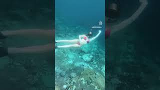 Best Snorkelling from Bali | Nusa Lembongan Island | Jen Stockwell