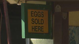 Turning to local farms amid high Hawaii egg prices