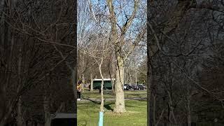 Creepy looking old green bus at the park