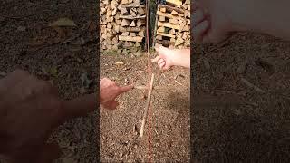 MUST KNOW! Bushcraft Winch #survivalhacks