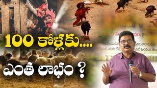 100 కోళ్లు - 1000 కోళ్లు-  6 నెలలు పెంచితే లాభం ఎంత ? || Naatukolla Pempakam - 6 || Dr.Ch. Ramesh