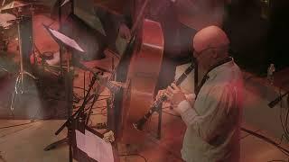 Joe Hertenstein Trio w. Michael Moore & Greg Cohen -  live @Roulette NewYork