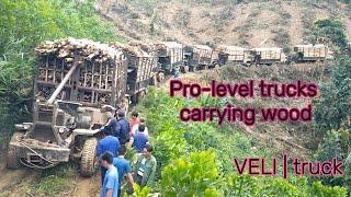 13 trucks haul timber through muddy roads in Vietnam **2024**