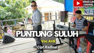 LAGU DAERAH JAMBI PUNTUNG SULUH - VOC.ARDI - CIPT.RADINAL - KDJ.WARID LBR