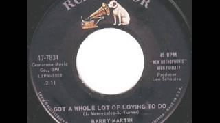 Barry Martin - Got A Whole Lot Of Loving To Do