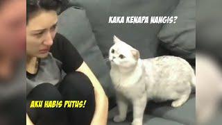 Lucu & Menggemaskan! Reaksi Kucing Melihat Majikannya Menangis Karena Putus Cinta