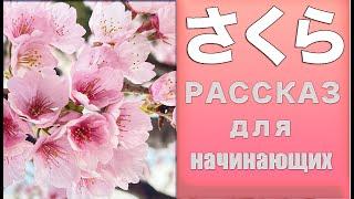 Читаем вместе. Сакура. Урок для начинающих