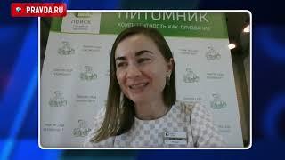 Земляника. Лучшие сорта.  Самые вкусные и ароматные!