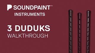 Soundpaint 3 Duduks Walkthrough