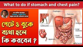 পেটে ও বুকে ব্যথা হলে কি করবেন II What to do if stomach and chest pain ?