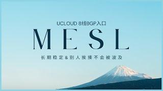 长期稳定专线机场，甚至还有一些性价比？这就是mesl！